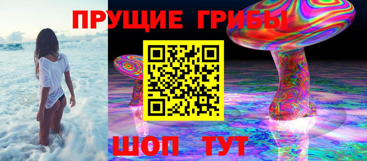 Звенигород  Галлюциногенные грибы GOLDEN TEACHER  Вход с VPN  Псилоцибиновые грибы GOLDEN TEACHER 
